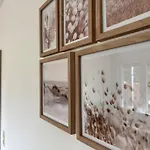 Апартаменты Haus Ostsee - Meeresbrise